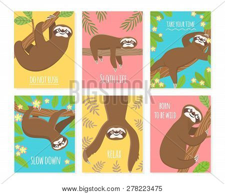 Sloth Card. Cute Slumber Animal, Sleepy Lazy Sloths. Child T-shirt, Pajamas Vector Design