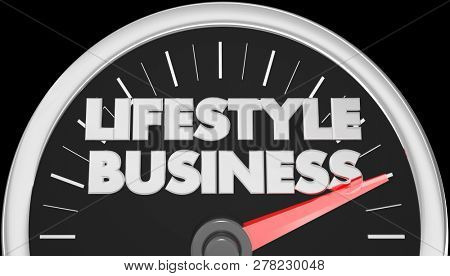 Lifestyle Business Speedometer Words 3d Illustration