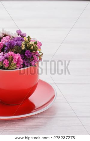 Statice Mix Color Limonium Sinuatum Flowers. White Wooden Table Background.