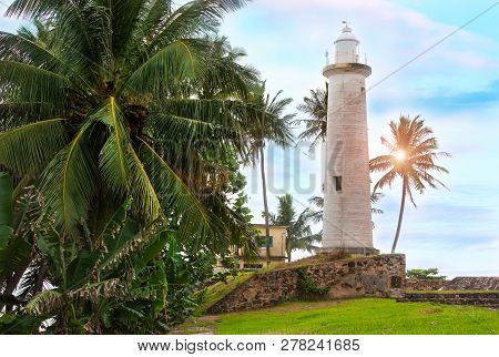 White Lighthouse And Tropical Palms, Fort Galle, Sri Lanka.