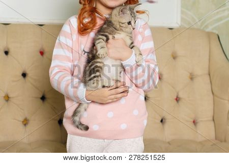 Girl Holding A Striped Kitten On The Background Of A Beige Sofa