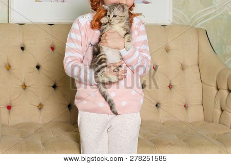 Girl Holding A Striped Kitten On The Background Of A Beige Sofa