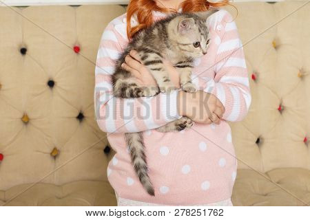 Girl Holding A Striped Kitten On The Background Of A Beige Sofa