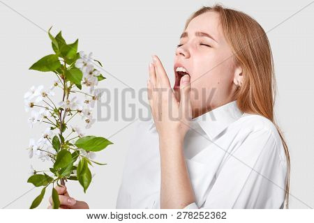 Isolated Shot Of Young Cute Woman Being Allergetic To Spring Blossom, Sneezes, Keeps Mouth Widely Op