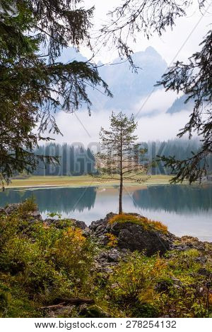 This Magical Tree On Lake Laghi Di Fusine With Nice Reflections On Water On A Foggy Morning In Autum