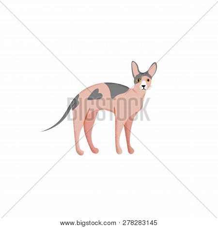 Vector Illustration. Cute Character Cartoon Style Of Cat. Icon Of Sphynx Breed For Different Design.