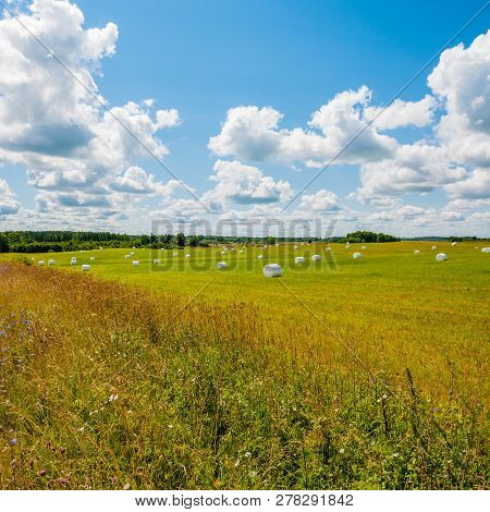 Many White Sacks Of Mown And Packed Hay Laid Out On The Green Field Surrounded By Scenic Landscape