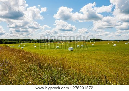 Many White Sacks Of Mown And Packed Hay Laid Out On The Green Field Surrounded By Scenic Landscape