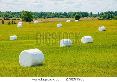 Many White Sacks Of Mown And Packed Hay Laid Out On The Green Field Surrounded By Scenic Landscape