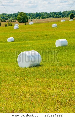 Many White Sacks Of Mown And Packed Hay Laid Out On The Green Field Surrounded By Scenic Landscape