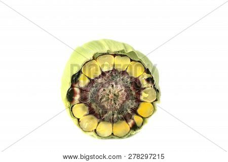 Fresh Purple Corn Fruit Isolate On White Cut Haff