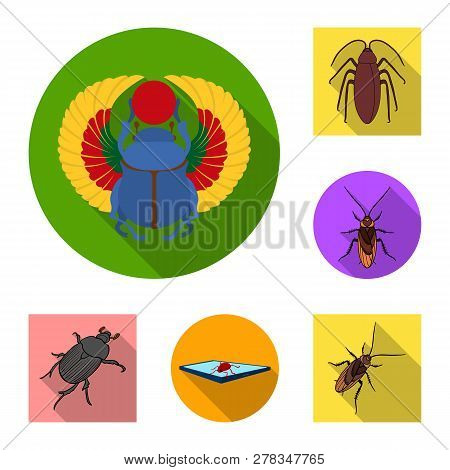 Vector Design Of Insect And Beetle Sign. Set Of Insect And Halloween Vector Icon For Stock.