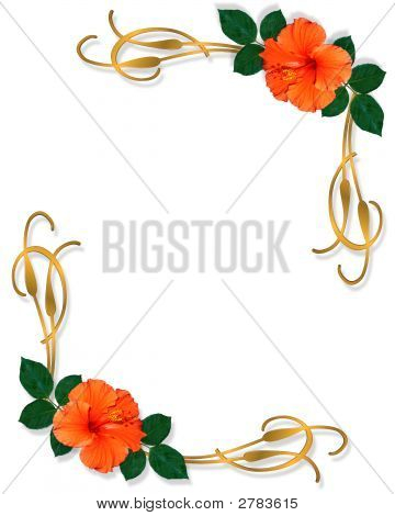 Hibiskus rogu Design