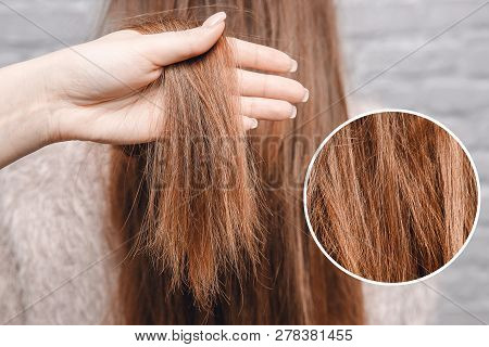 Texture Of Damaged Female Hair Close-up On Gray Background. Concept Loss Color And Protein.