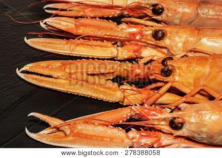 Cooked Langoustines , Nephrops Norvegicus, Dublin Bay Prawn Or Norway Lobsters On Black Slate
