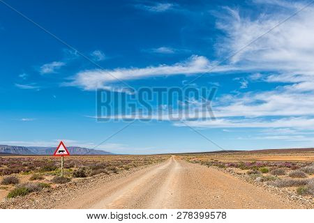 Road Landscape In The Tankwa Karoo In The Northern Cape Province. Warning Signs And Wildflowers Are 