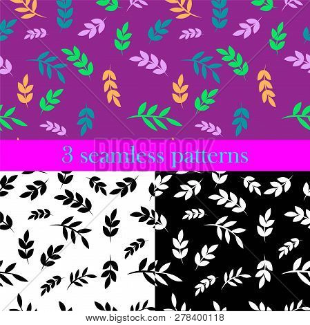 Set Of Seamless Patterns. Black, White And Colour