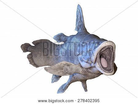 3D Rendering Mawsonia Fish On White