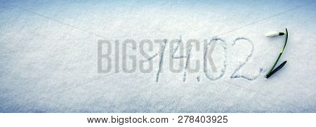 Valentines Day 14.02 Written At The White Snow Background And Snowdrop Flower.