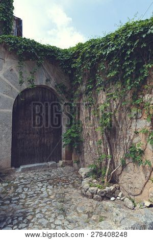 10 May 2018 Lluc Alcari, Majorca. Beautiful Wooden Door With Green Lianas. Selective Focus