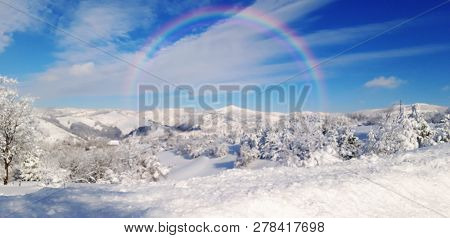 Multi Layered Mountain Winter Landscape. Slopes And Evergreen Woods Covered With Snow. Snowy Pine An