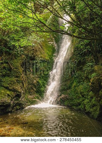 Ohau Stream Seal Pubs, Waterfall Near Kaikoura On The South Island Of New Zealand