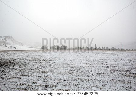 Landscape Near Castle Hill Covered In Snow, South Island, New Zealand