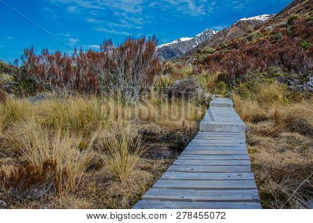 Arthur's Pass National Park, Canterbury, South Island, New Zealand