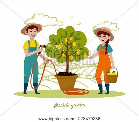 Couple Of Gardeners Are Working In The Garden. Man With Garden Hose Watering Lemon Tree, A Woman Pic