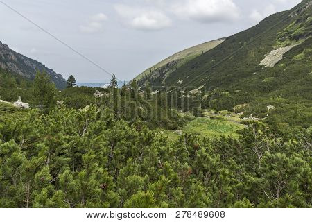 Summer Landscape Of Malyoviska River Valley, Rila Mountain, Bulgaria