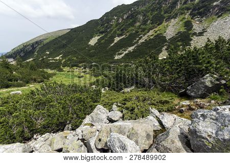 Summer Landscape Of Malyoviska River Valley, Rila Mountain, Bulgaria