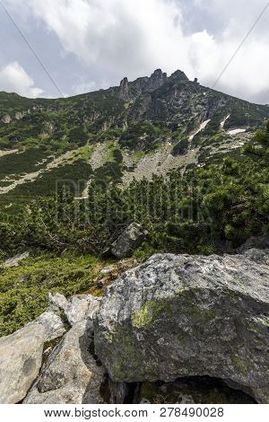 Summer Landscape Of Malyoviska River Valley, Rila Mountain, Bulgaria