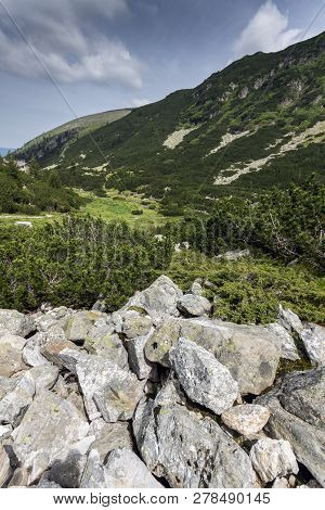 Summer Landscape Of Malyoviska River Valley, Rila Mountain, Bulgaria