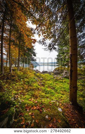 View Through Forest To Lake Laghi Di Fusine Near Tarvisio In Italy On A Foggy Morning And Mountain R