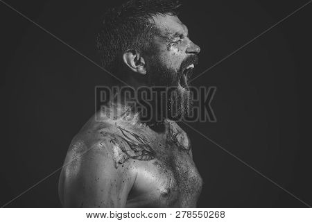 Man With Beard, Mustache Shout With Anger On Black Background. Bearded Hipster With Tattoo On Chest 