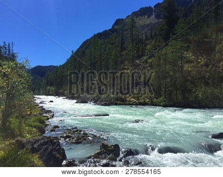 Flowing Forest Mountain River. Blue Kucherla River In Belukha National Park, Altai Mountains, Siberi