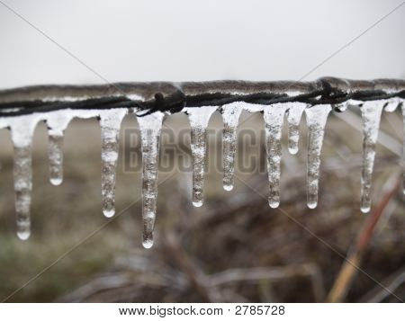 Icicles On A Barbwire Fence