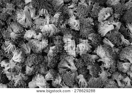 Fresh, Raw Calabrese Broccoli Florets As An Abstract Background Texture - Monochrome Processing