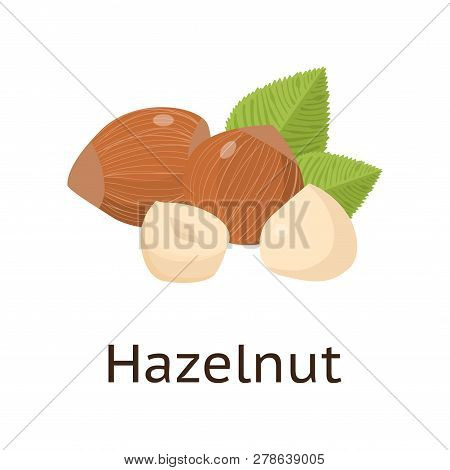 The Fruit Of The Plant Is A Hard-shelled Nut With An Edible Core.