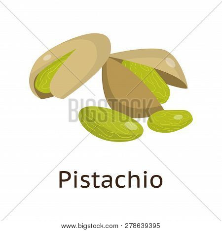 The Fruit Of The Plant Is A Hard-shelled Nut With An Edible Core.