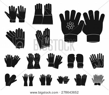 Vector Illustration Of Glove And Winter Logo. Collection Of Glove And Equipment Vector Icon For Stoc