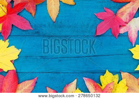 In Autumn, The Fallen Dry Leaves Of Yellow, Red, Orange Color Line The Perimeter Of The Frame On An
