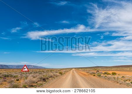 Road Landscape In The Tankwa Karoo In The Northern Cape Province. A Warning Sign Is Visible
