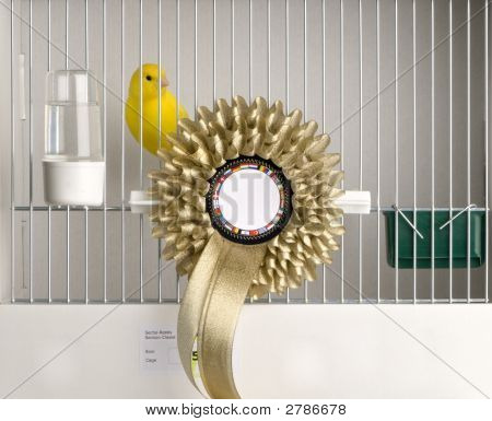 Amarelo canário