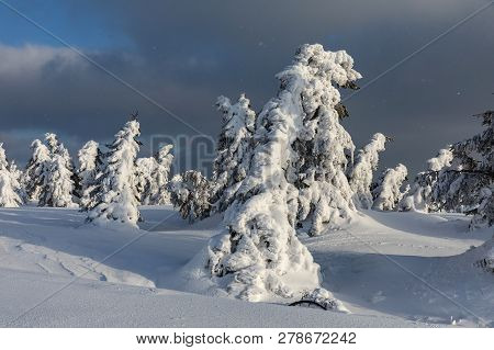 Beautiful Winter Landscape Krkonos On A Sunny Day. Winter Ridges Of The Krkonose Mountains. Trees Co