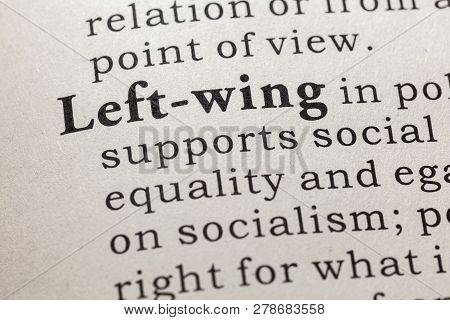 Fake Dictionary, Dictionary Definition Of The Word Left-wing. Including Key Descriptive Words.