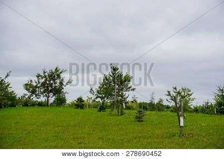 Garden Of Destinies Is A Monumental Architectural Ensemble On The Daugava Island In Koknese. Garden 