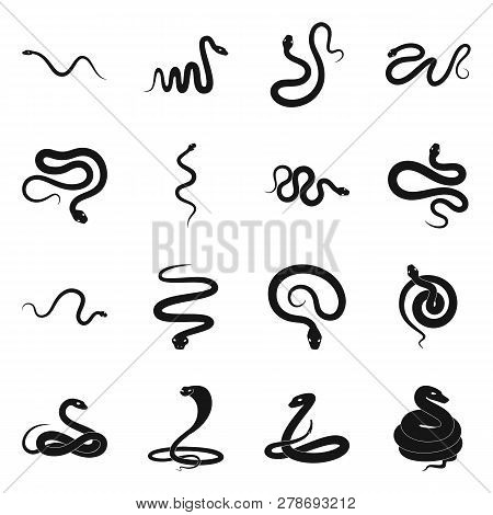 Vector Design Of Nature And Medicine Logo. Collection Of Nature And Evil Vector Icon For Stock.