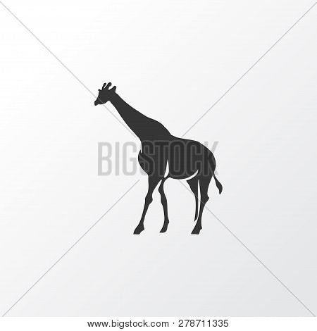 Giraffe Icon Symbol. Premium Quality Isolated Camelopard Element In Trendy Style.