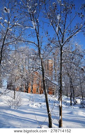 Sunny Day In Winter Park, Romon, Voronezh, Russia